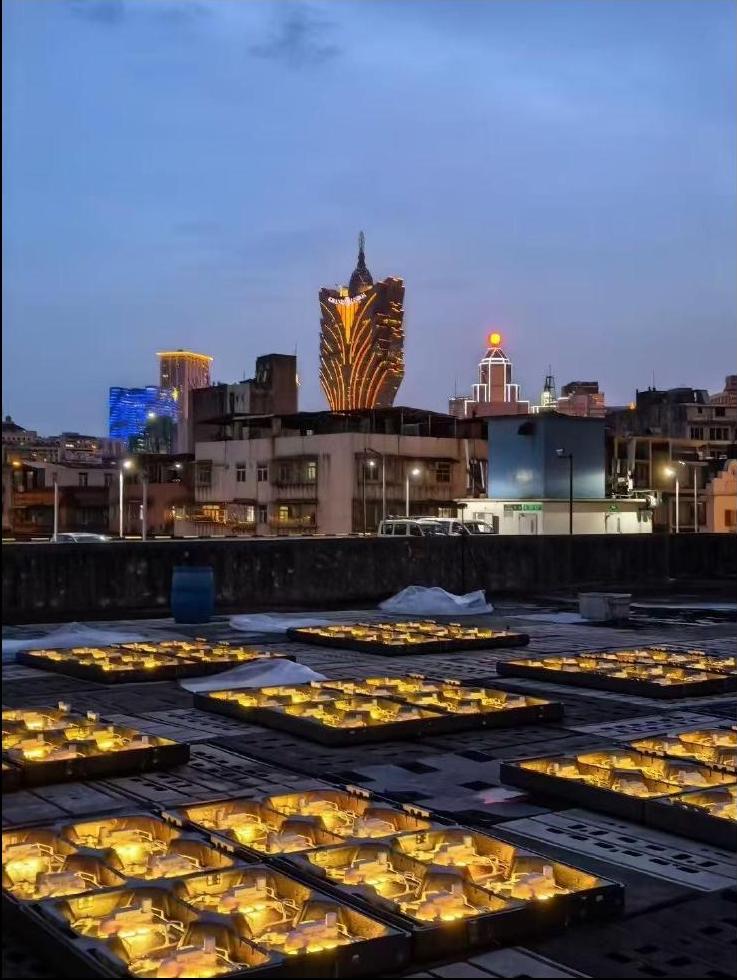 Drone units staged before a show, Macau skyline